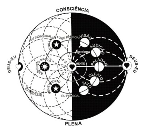 Consciência Plena